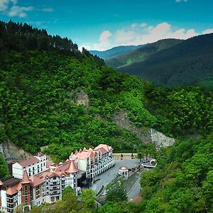 Crowne Plaza - Borjomi By Ihg